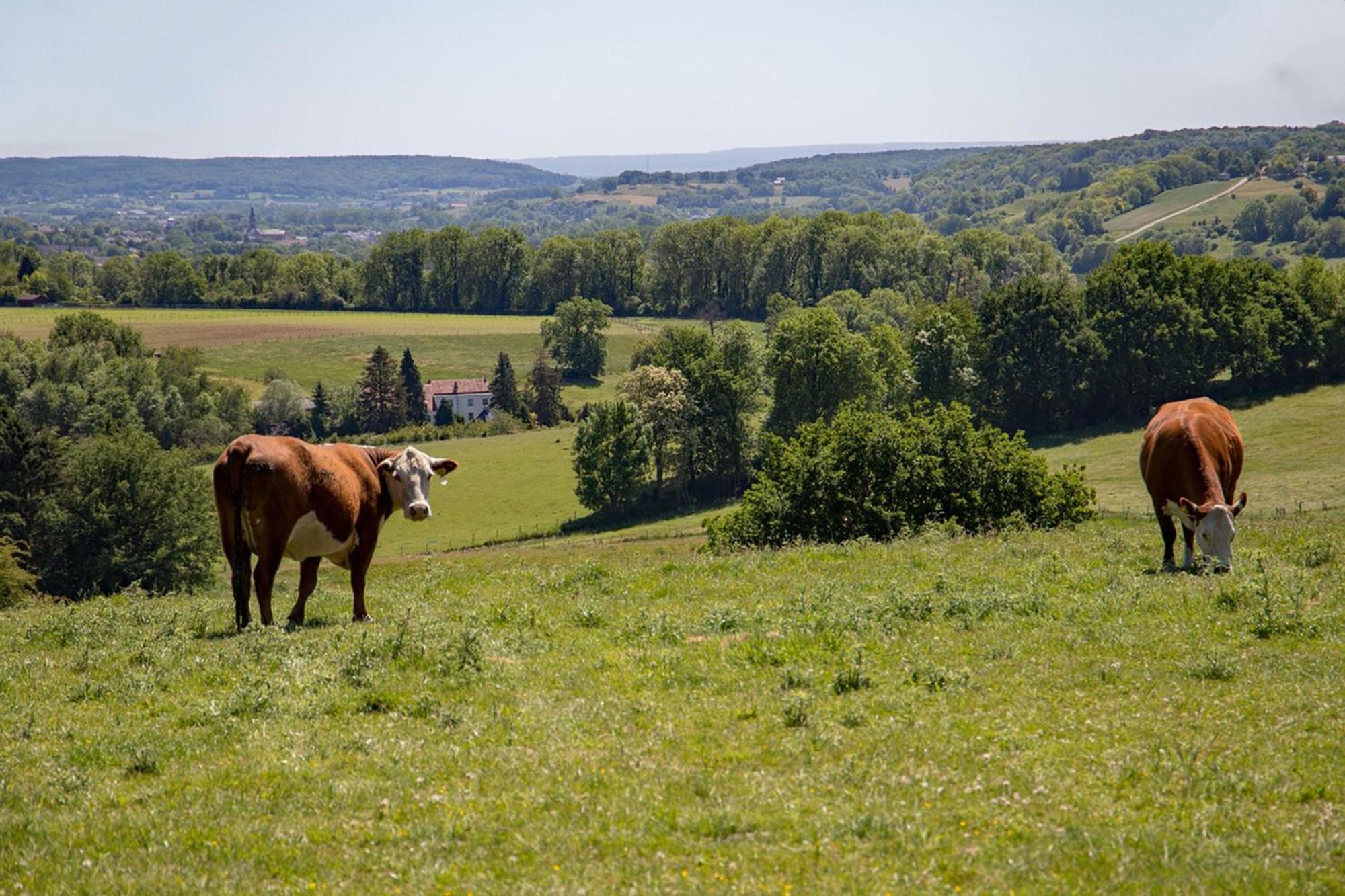 Bnb Het Geluk Van Limburg Mechelen Exteriör bild