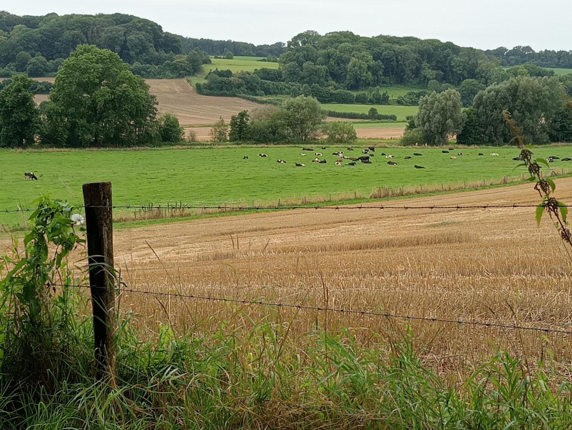 Bnb Het Geluk Van Limburg Mechelen Exteriör bild