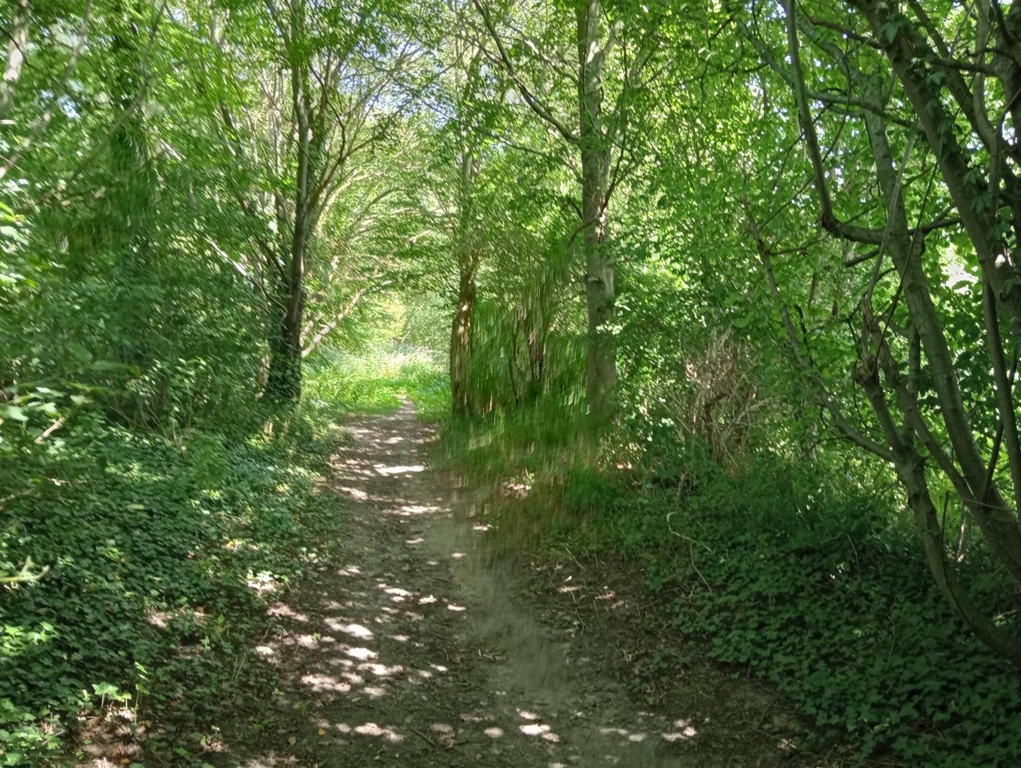 Bnb Het Geluk Van Limburg Mechelen Exteriör bild