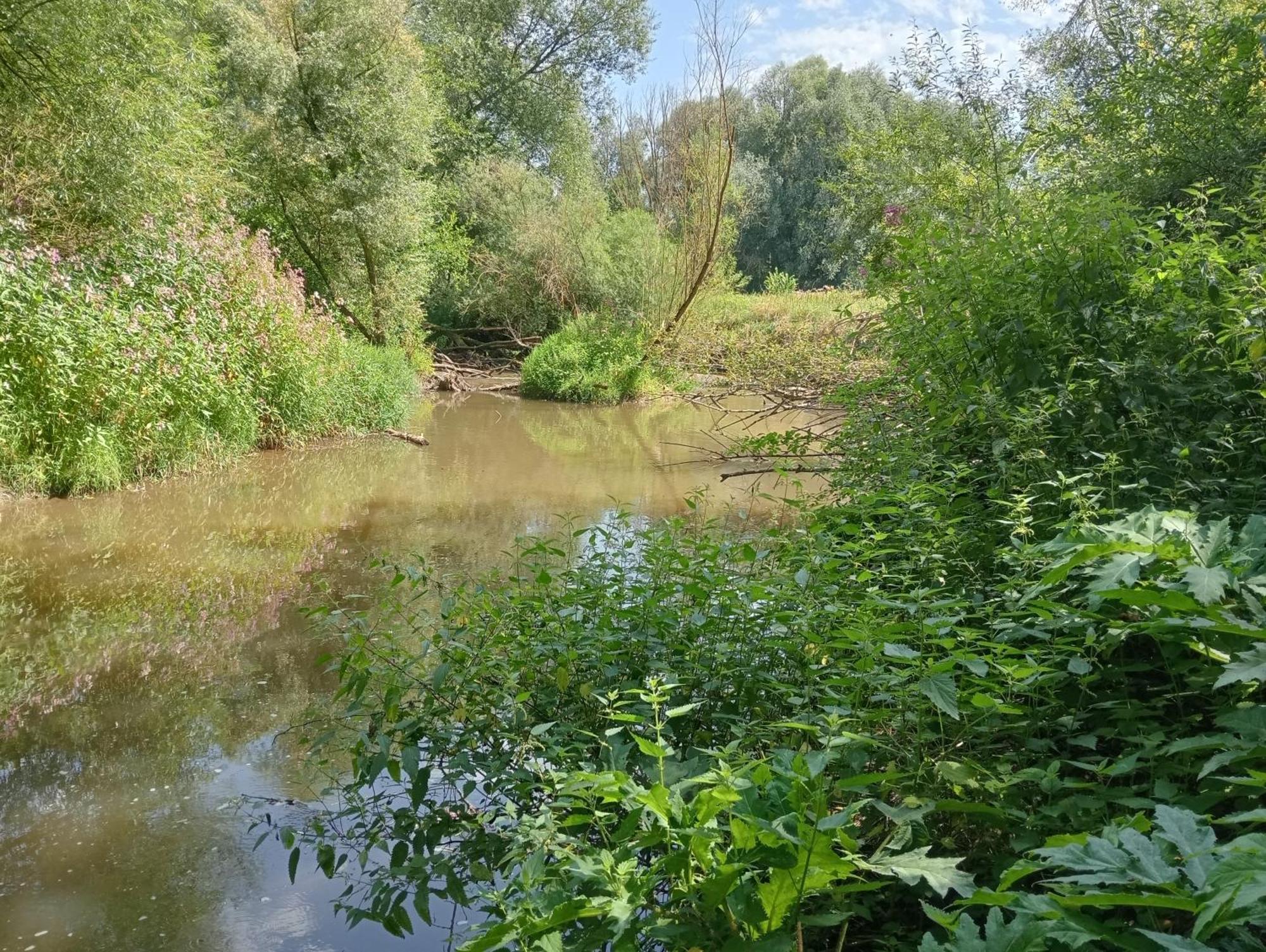 Bnb Het Geluk Van Limburg Mechelen Exteriör bild