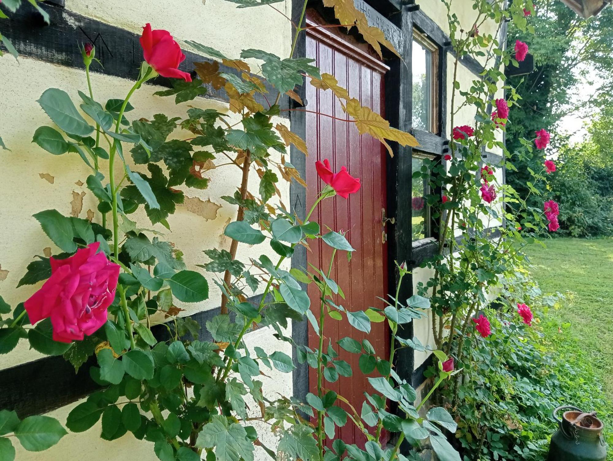Bnb Het Geluk Van Limburg Mechelen Exteriör bild